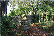 SY5784 : Stile and stepping stone, Grove Lane, Abbotsbury by John Stephen
