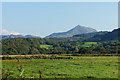 SH6140 : Cnicht View, Gwynedd by Peter Trimming