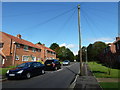 Telegraph pole in Wilmott Close