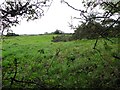 Ballydonnell Townland