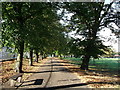 Path in Ruskin Park