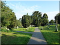 Andover-St Mary: churchyard (1)