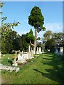 Andover-St Mary: churchyard (3)