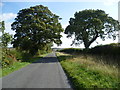 Country lane near Cuckoo Farm