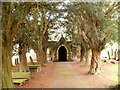 Tree-lined entrance to St Mary