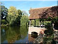 Jetty into the lake at The Dairy