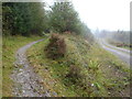NX8557 : 7 Stanes cycle track meets forest track, Dalbeattie Forest by Bob Peace