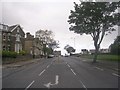 Horton Park Avenue - viewed from Cecil Avenue