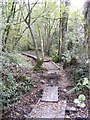 Wood Boardwalk