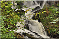 J4681 : Waterfall, Crawfordsburn Country Park by Albert Bridge