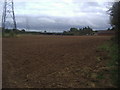 Field by Road Barn farm, Wendover