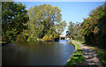 The Colne Enters the Canal Again