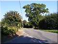 Mill Road, Newbourne