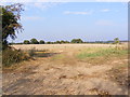 Field Entrance off Woodbridge Road