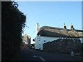 Thatched house in Loddiswell