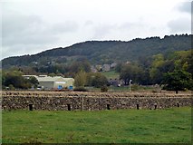 SK2663 : Dry stone wall in the River Derwent floodplain by Graham Hogg