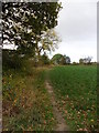 Field-edge footpath near Penny Spring Wood