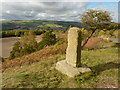 The Birley Stone