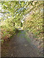 The bridleway at New Lodge