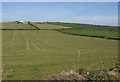 Farmland at Freathy