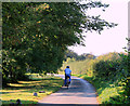 2011 : Cyclist on Portway Lane