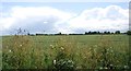 Farmland, North Ockenden