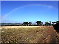 Rainbow over Nanny