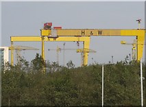 J3574 : The Harland and Wolff Cranes from the Larne Line by Eric Jones