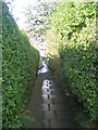 Footpath - Beechwood Road