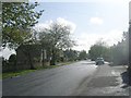 Watty Hall Road - viewed from Beechwood Road