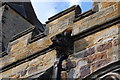 Gargoyle, Ticehurst Church