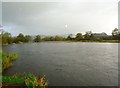 River Forth near Old Mills Farm [3]