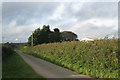 Quarry Lakes, a farm 