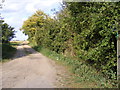 Footpath to Cottage Wood