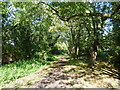 Old railway track in Brenchley Gardens