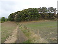 Benholmley Hill Wood, Almondbury