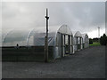 Polytunnels, Bugford Nurseries 