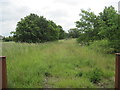 Dismantled  Railway  through  fields