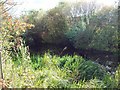 Disused Canal near Valley Way