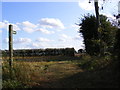 Footpath to Back Lane