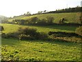 Fields near Forder