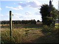 Footpath to Back Lane