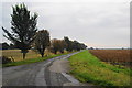 Road to Holmleigh Farm