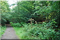 Bridleway crossroads, Wotton Common