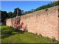 NZ3528 : Formerly heated brick wall, off Wykes Close, Sedgefield by Andrew Curtis