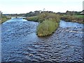 Island in the River Esk