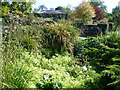 In The Old English Garden, Brockwell Park