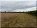 A footpath at the field edge