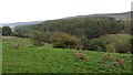 Farmland, Raisdale