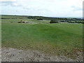 Tee on Worthing Golf Course